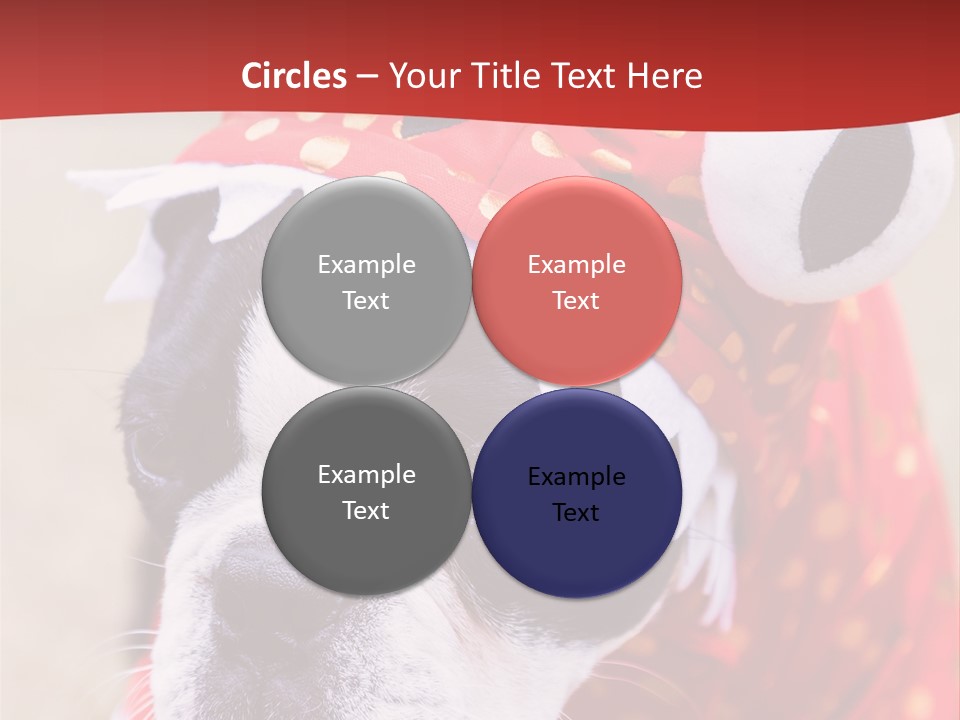 Silly Puppy Cute Funny Costume PowerPoint Template