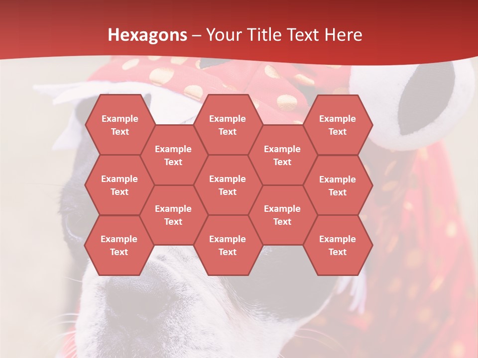 Silly Puppy Cute Funny Costume PowerPoint Template