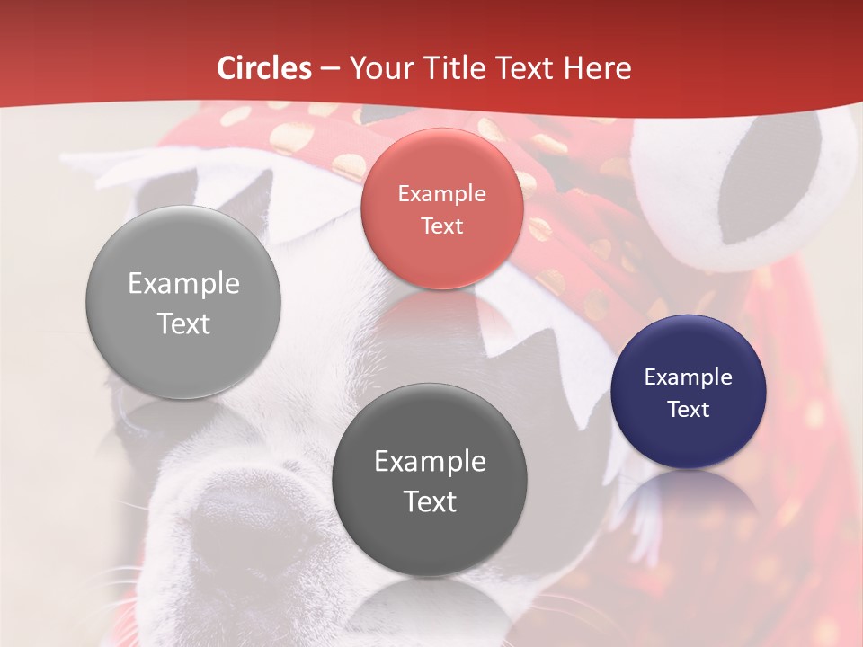 Silly Puppy Cute Funny Costume PowerPoint Template