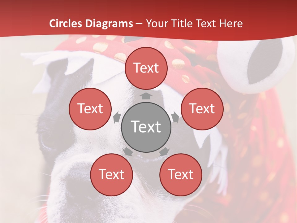 Silly Puppy Cute Funny Costume PowerPoint Template