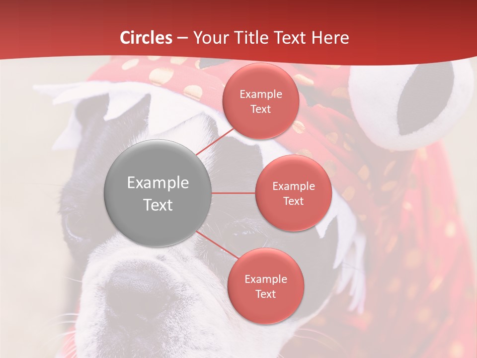 Silly Puppy Cute Funny Costume PowerPoint Template