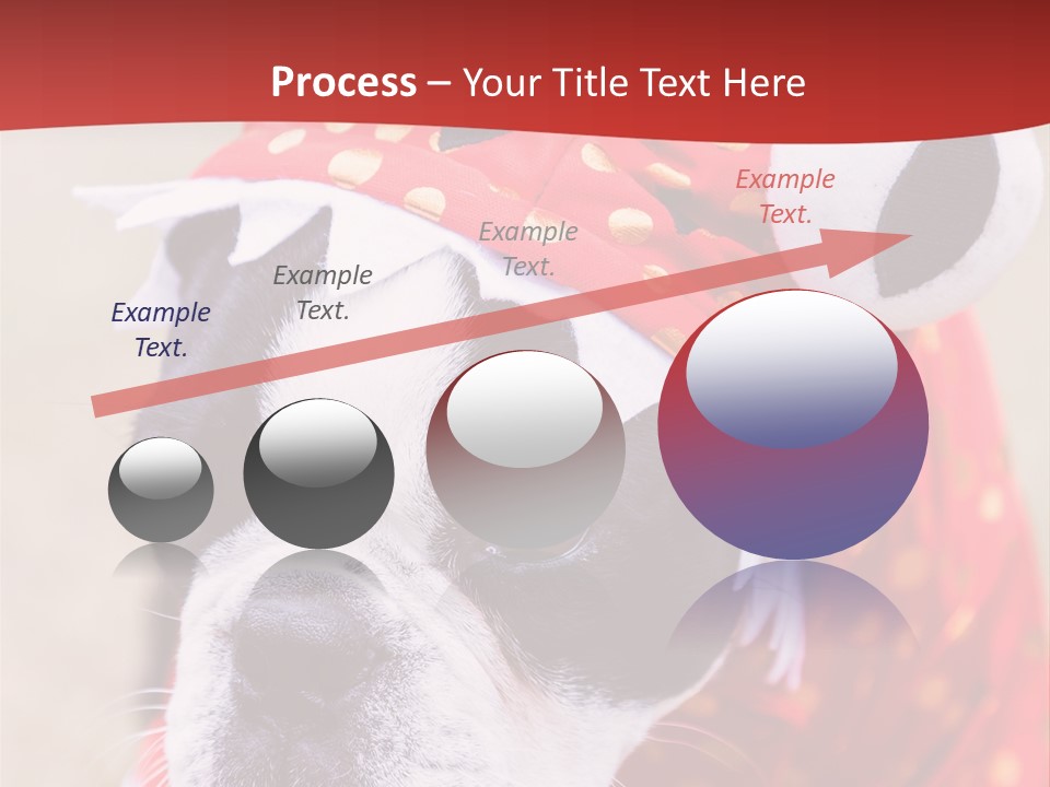 Silly Puppy Cute Funny Costume PowerPoint Template