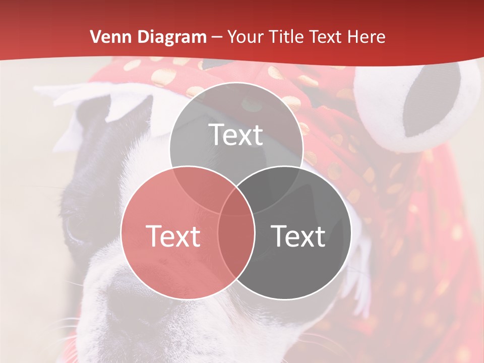 Silly Puppy Cute Funny Costume PowerPoint Template