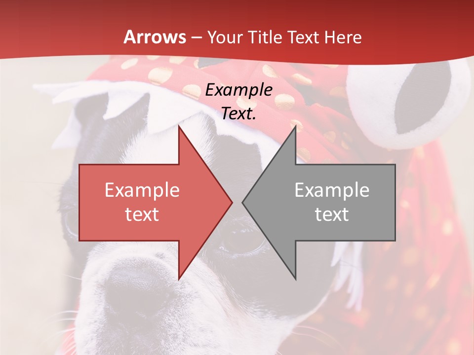 Silly Puppy Cute Funny Costume PowerPoint Template