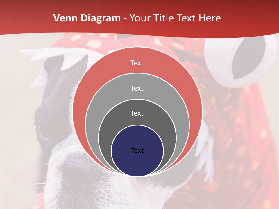 Silly Puppy Cute Funny Costume PowerPoint Template