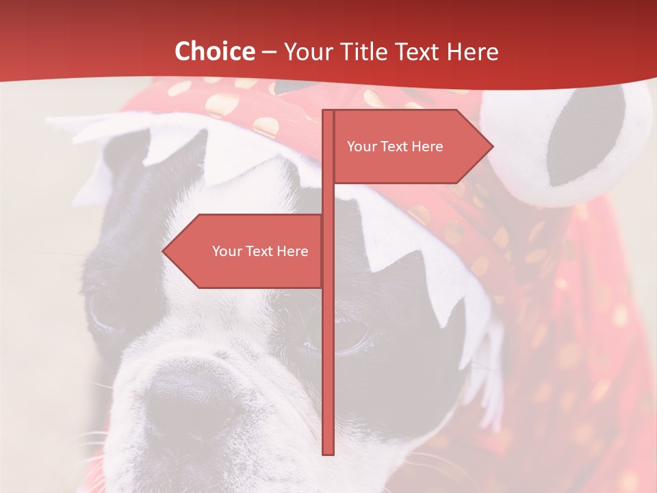 Silly Puppy Cute Funny Costume PowerPoint Template