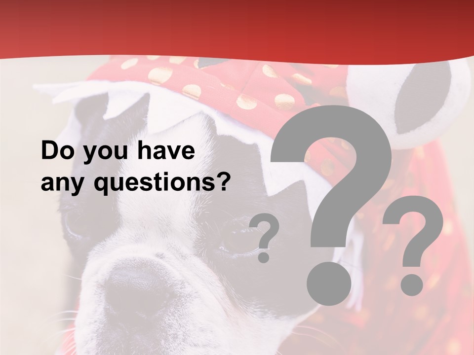 Silly Puppy Cute Funny Costume PowerPoint Template