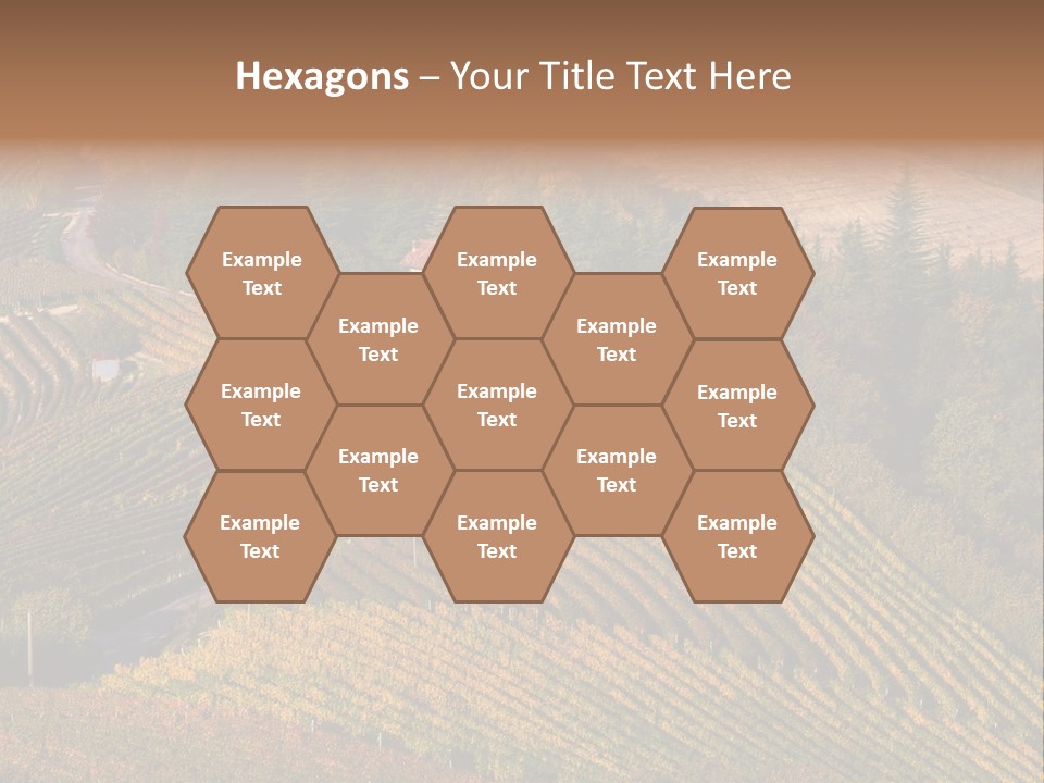 Hanging Rug Tapestry PowerPoint Template