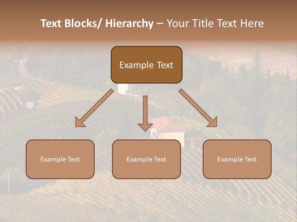 Hanging Rug Tapestry PowerPoint Template