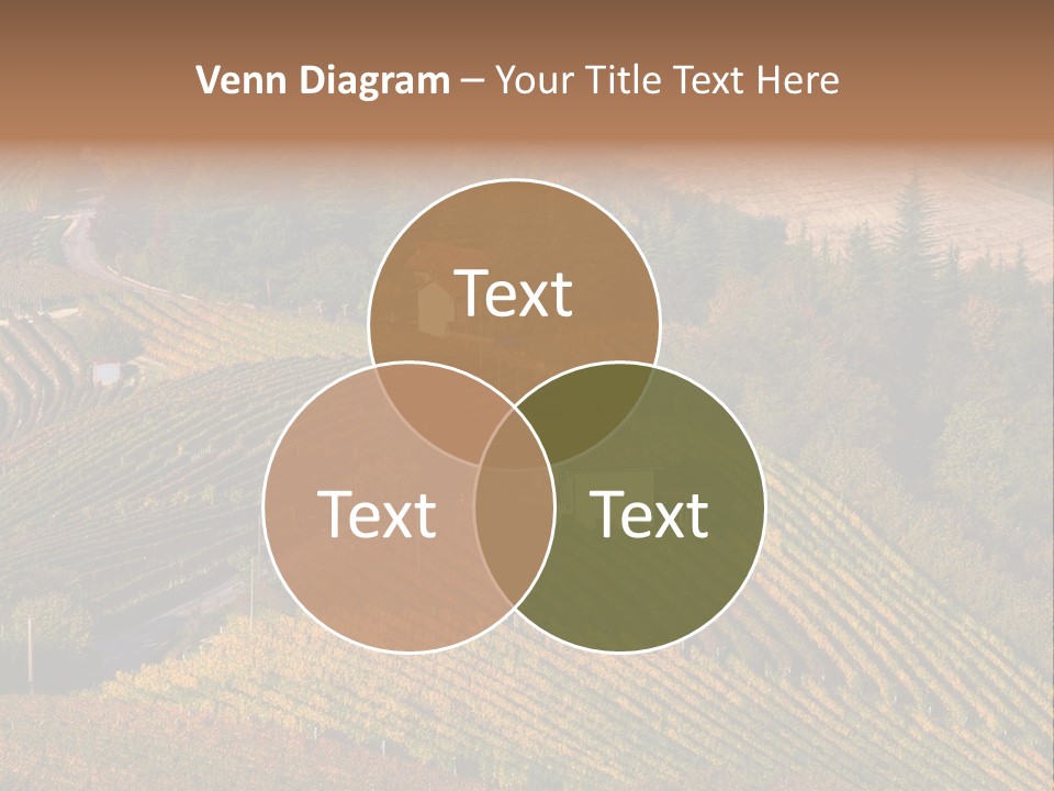 Hanging Rug Tapestry PowerPoint Template