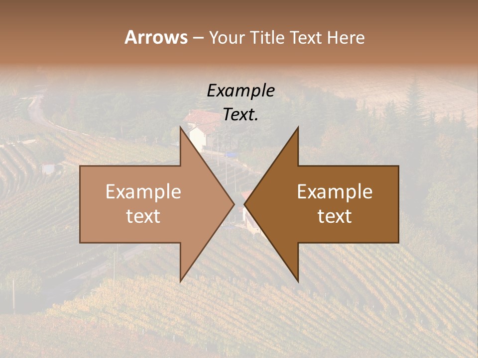 Hanging Rug Tapestry PowerPoint Template