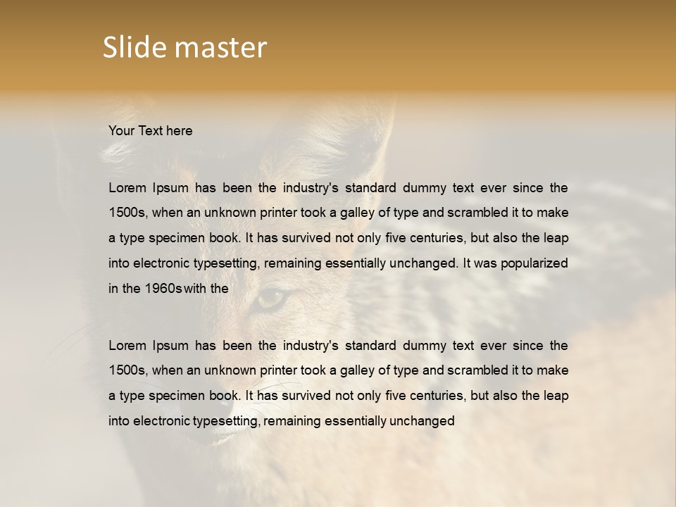 Silverbacked Canid Dog PowerPoint Template