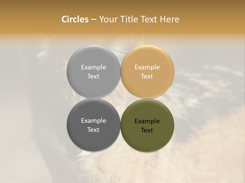 Silverbacked Canid Dog PowerPoint Template