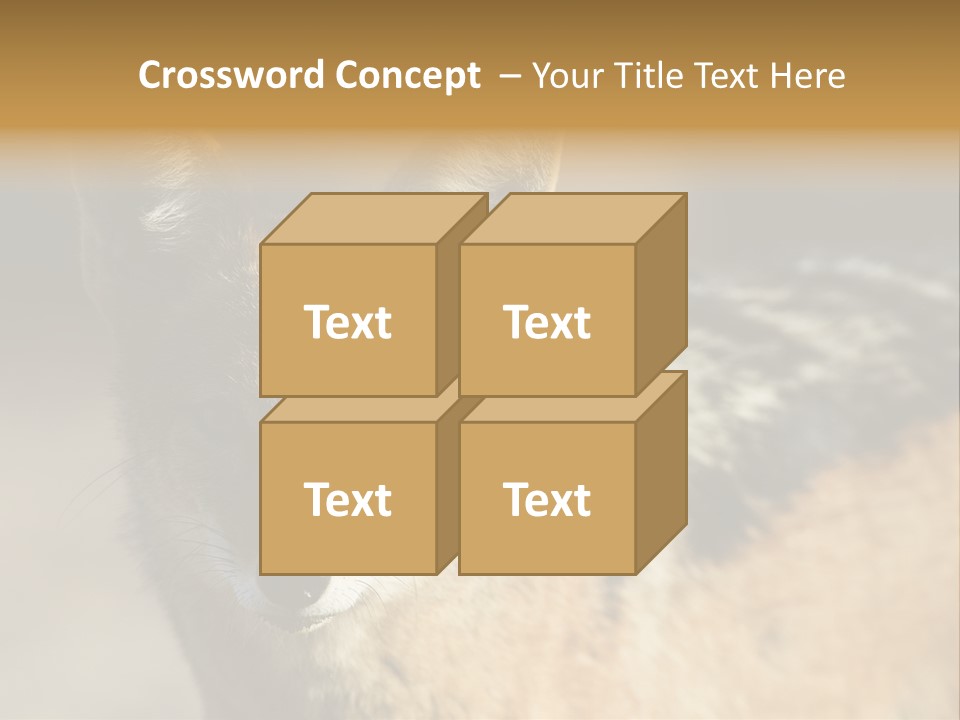 Silverbacked Canid Dog PowerPoint Template