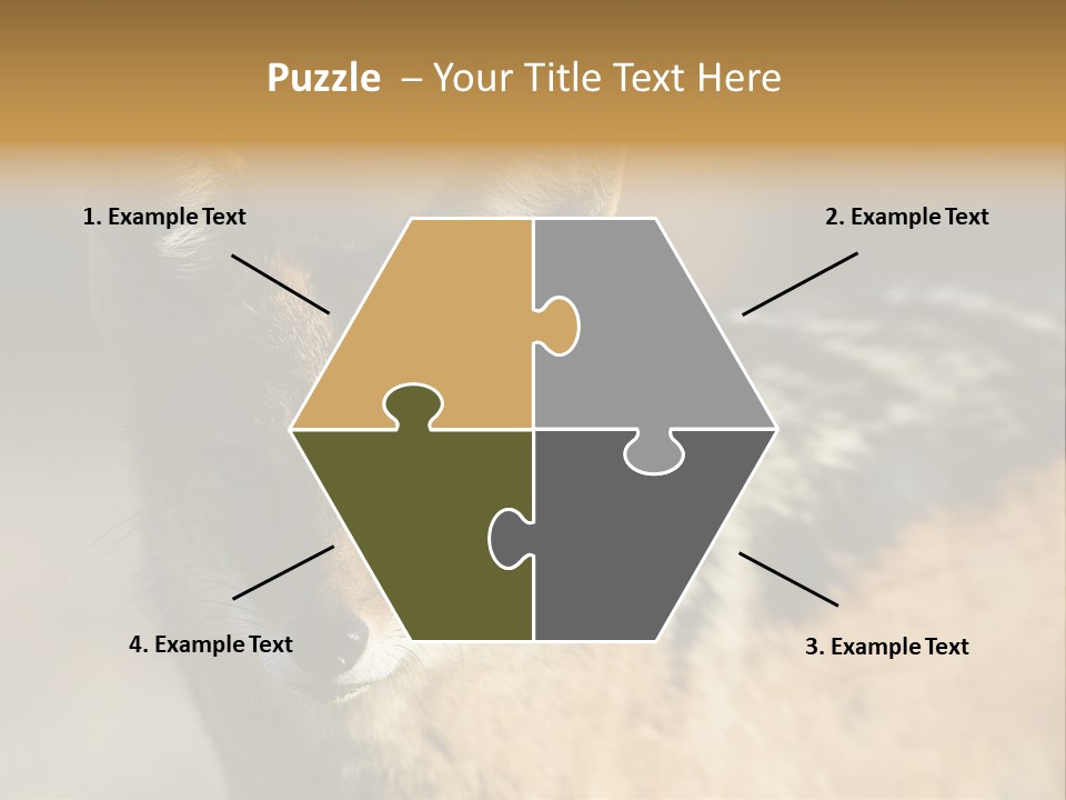 Silverbacked Canid Dog PowerPoint Template