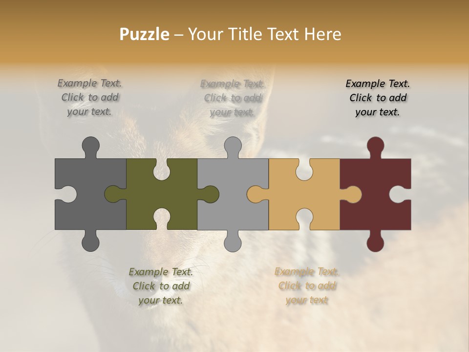 Silverbacked Canid Dog PowerPoint Template