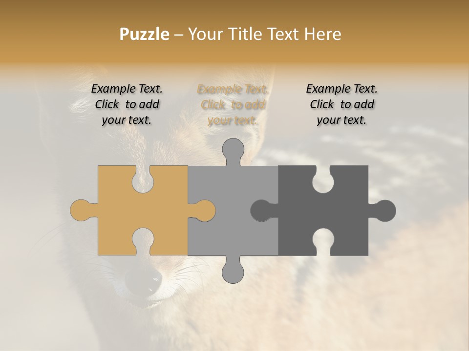 Silverbacked Canid Dog PowerPoint Template