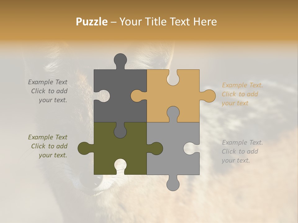 Silverbacked Canid Dog PowerPoint Template