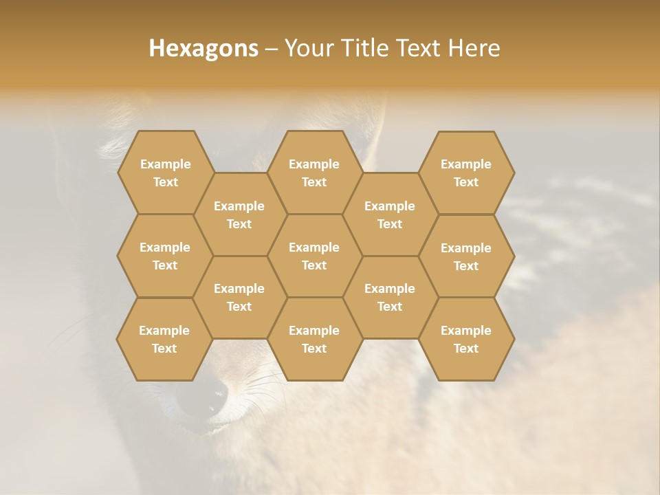 Silverbacked Canid Dog PowerPoint Template