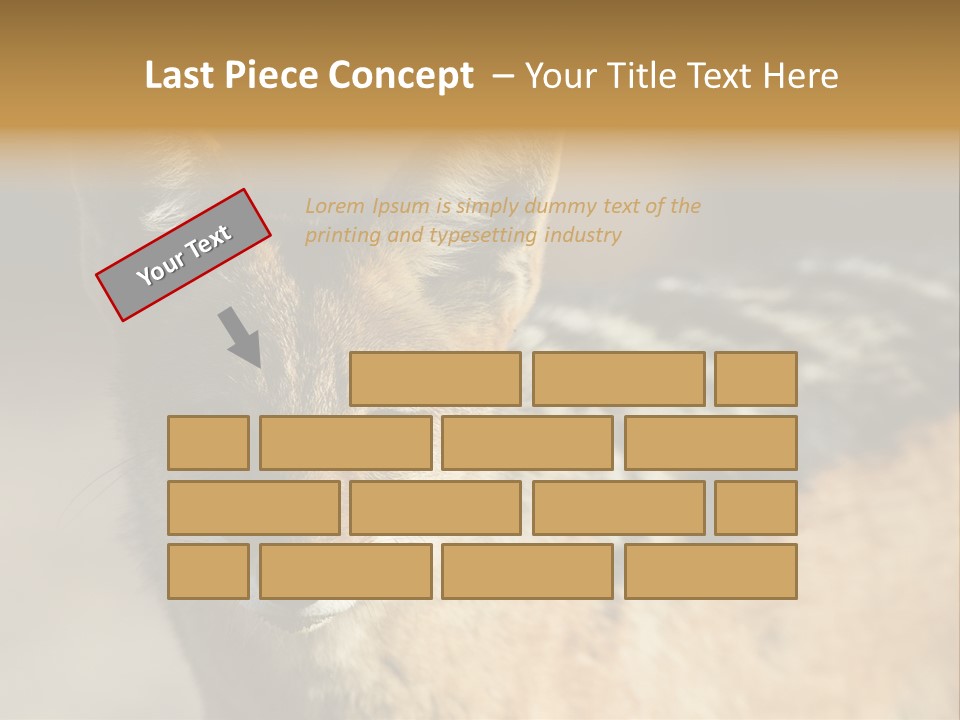 Silverbacked Canid Dog PowerPoint Template