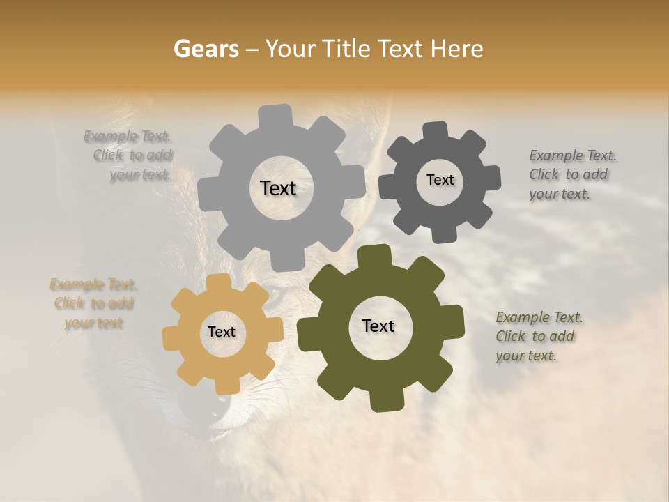 Silverbacked Canid Dog PowerPoint Template