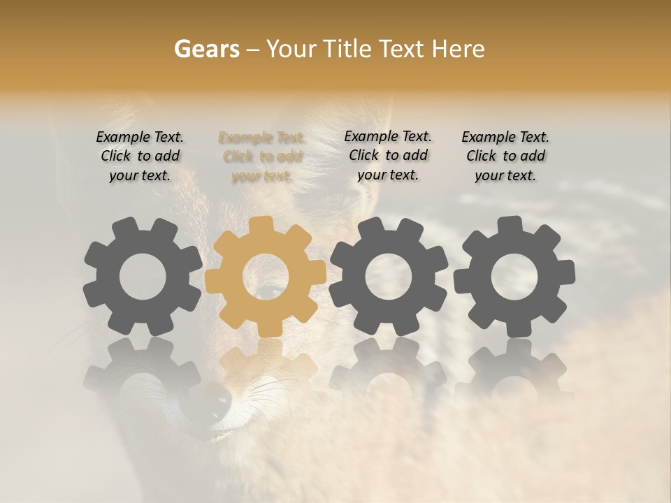 Silverbacked Canid Dog PowerPoint Template