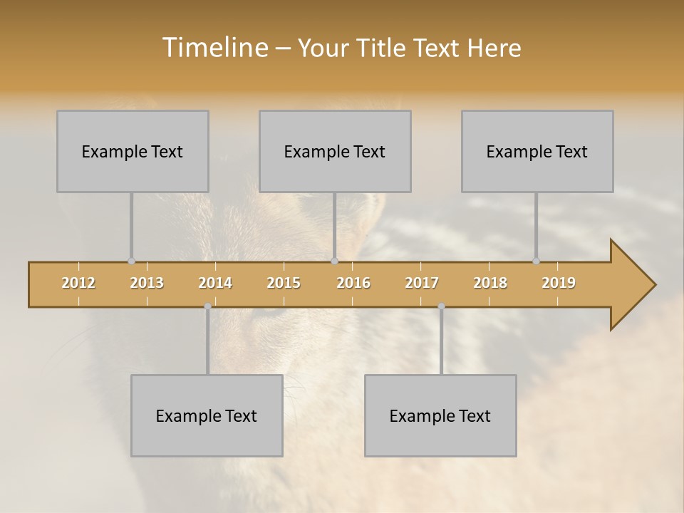 Silverbacked Canid Dog PowerPoint Template