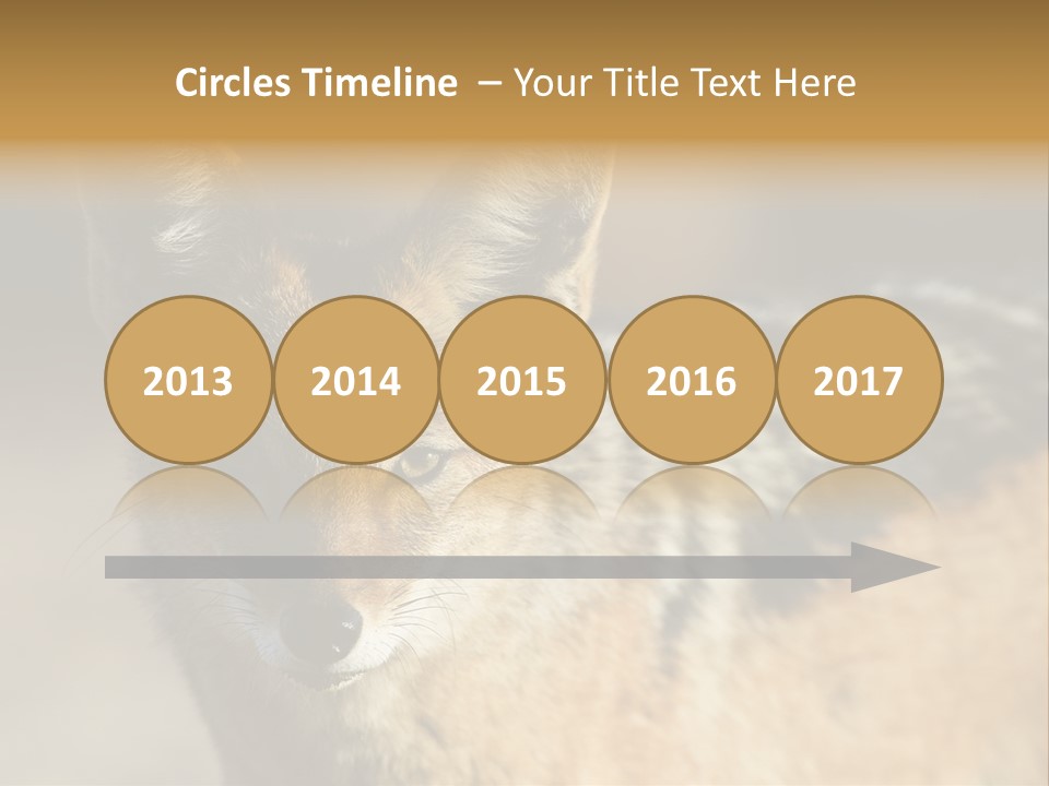 Silverbacked Canid Dog PowerPoint Template