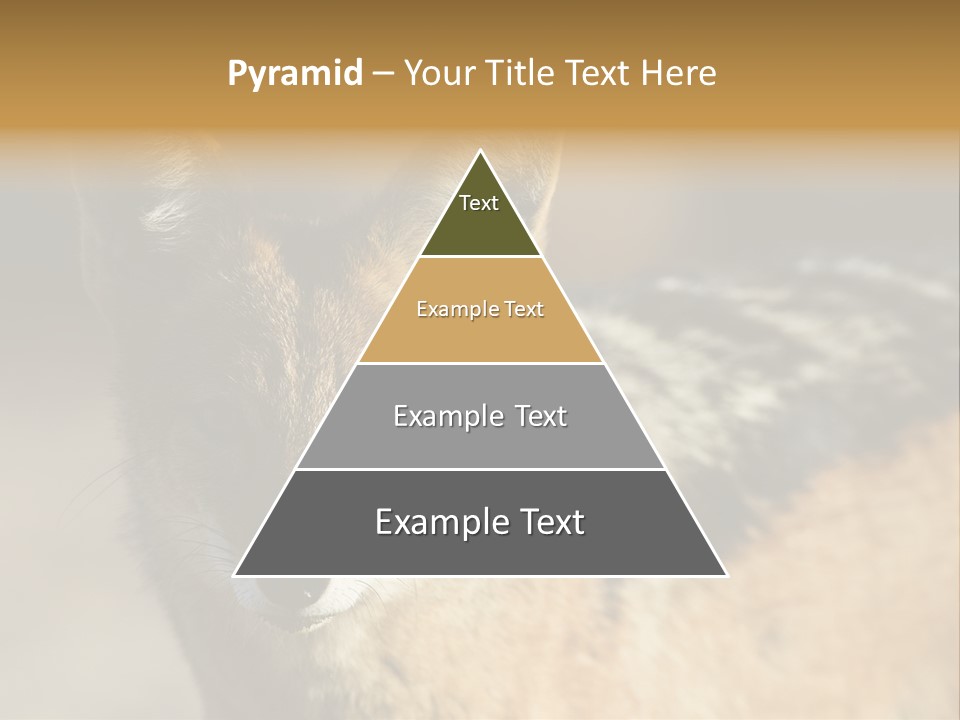 Silverbacked Canid Dog PowerPoint Template