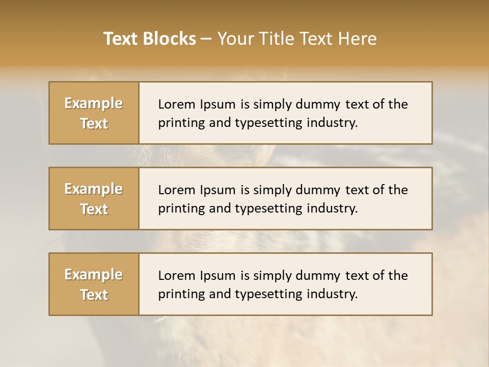 Silverbacked Canid Dog PowerPoint Template