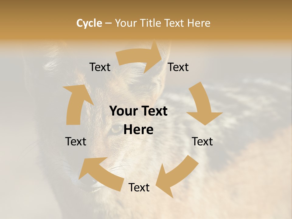 Silverbacked Canid Dog PowerPoint Template