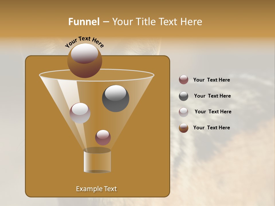 Silverbacked Canid Dog PowerPoint Template