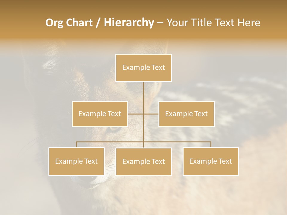 Silverbacked Canid Dog PowerPoint Template