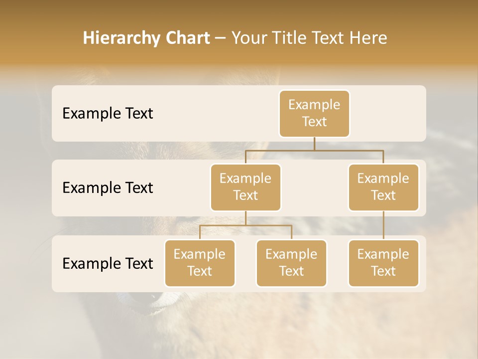 Silverbacked Canid Dog PowerPoint Template