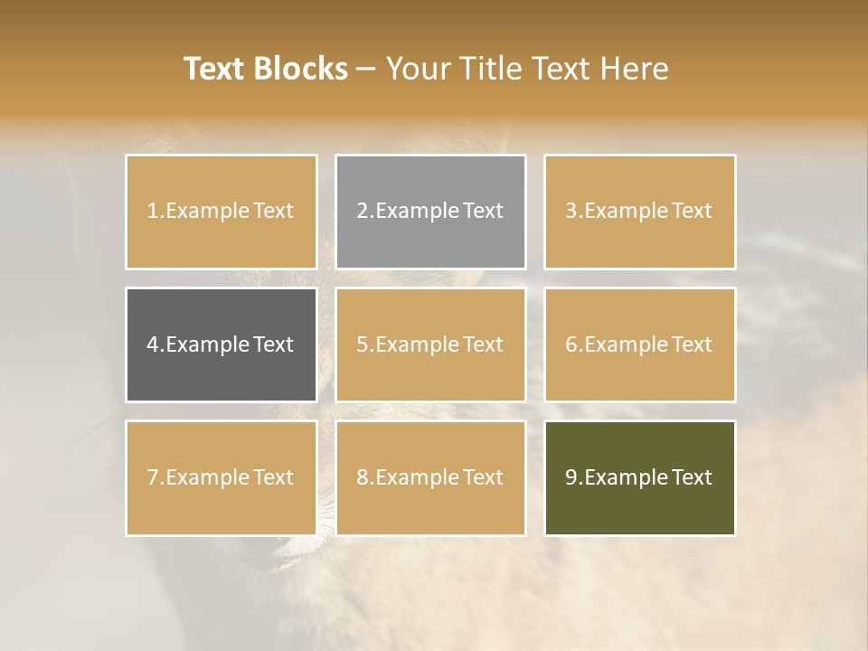 Silverbacked Canid Dog PowerPoint Template