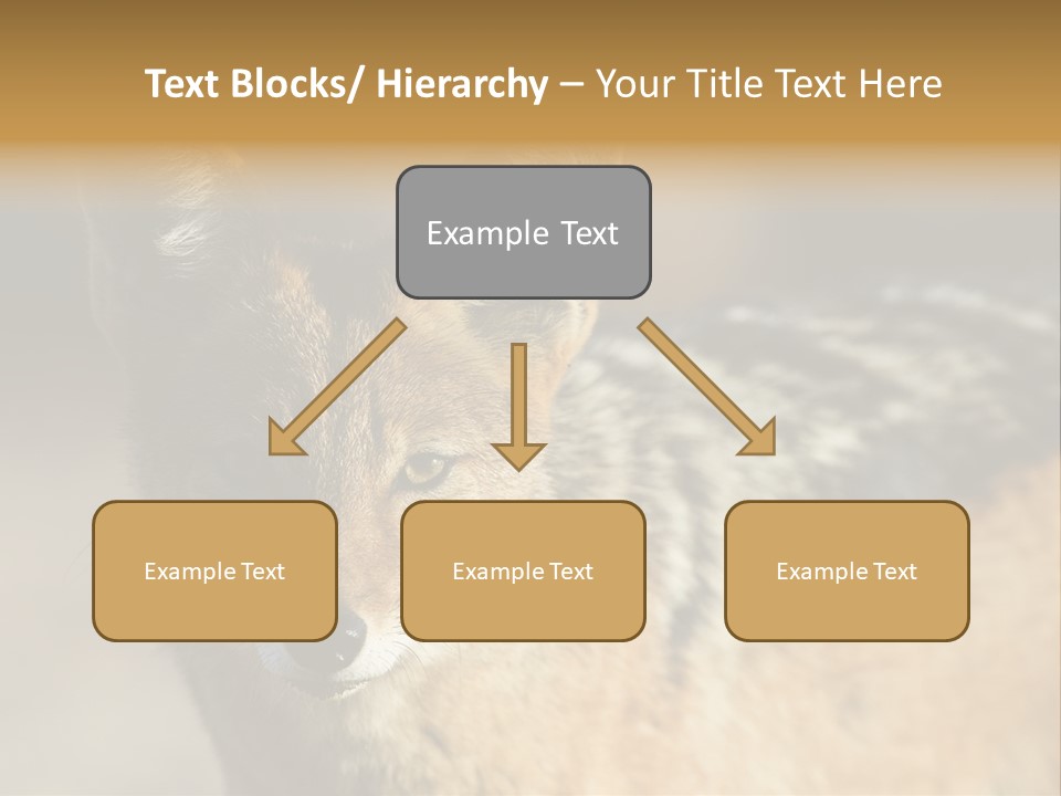 Silverbacked Canid Dog PowerPoint Template