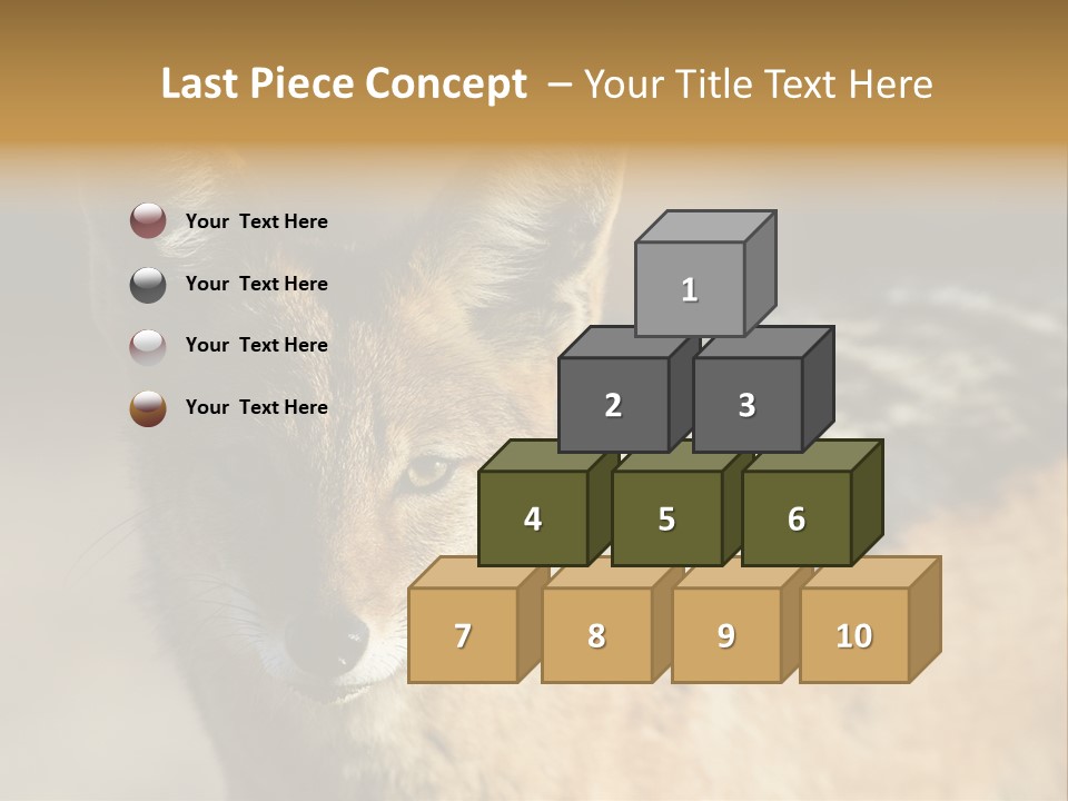 Silverbacked Canid Dog PowerPoint Template