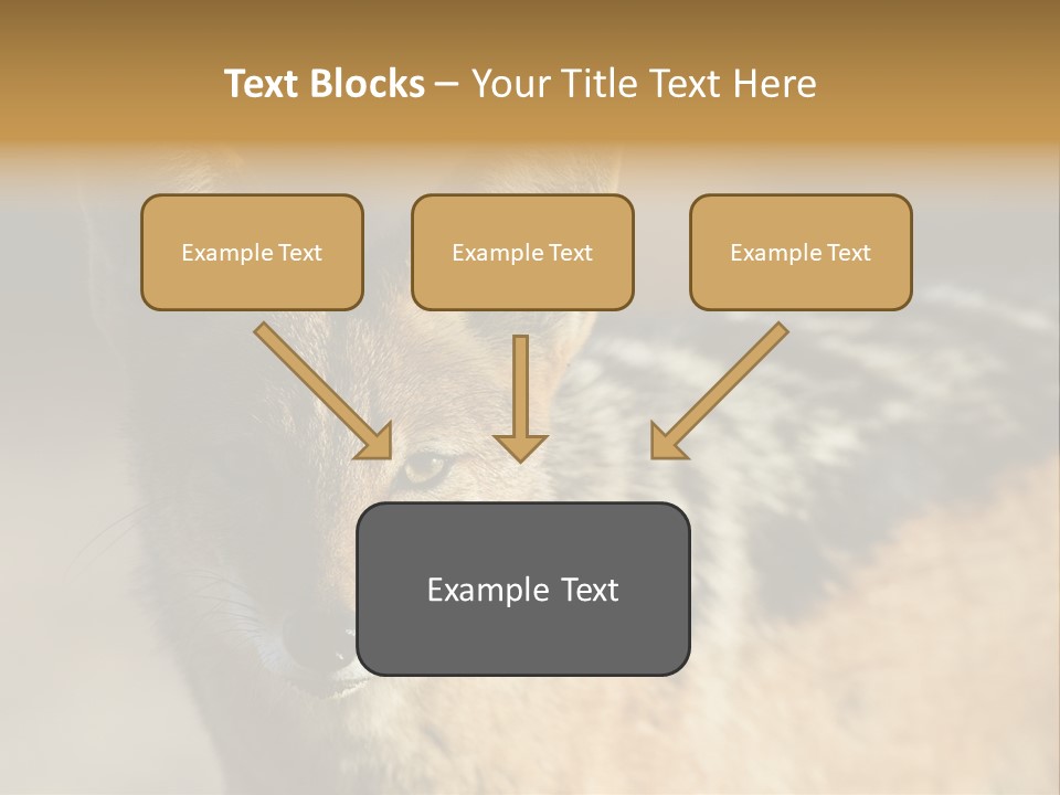 Silverbacked Canid Dog PowerPoint Template