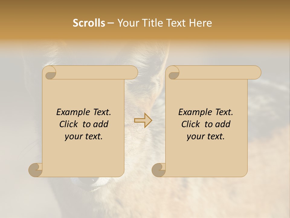 Silverbacked Canid Dog PowerPoint Template