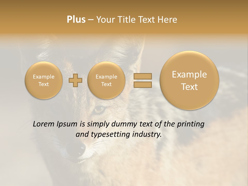 Silverbacked Canid Dog PowerPoint Template