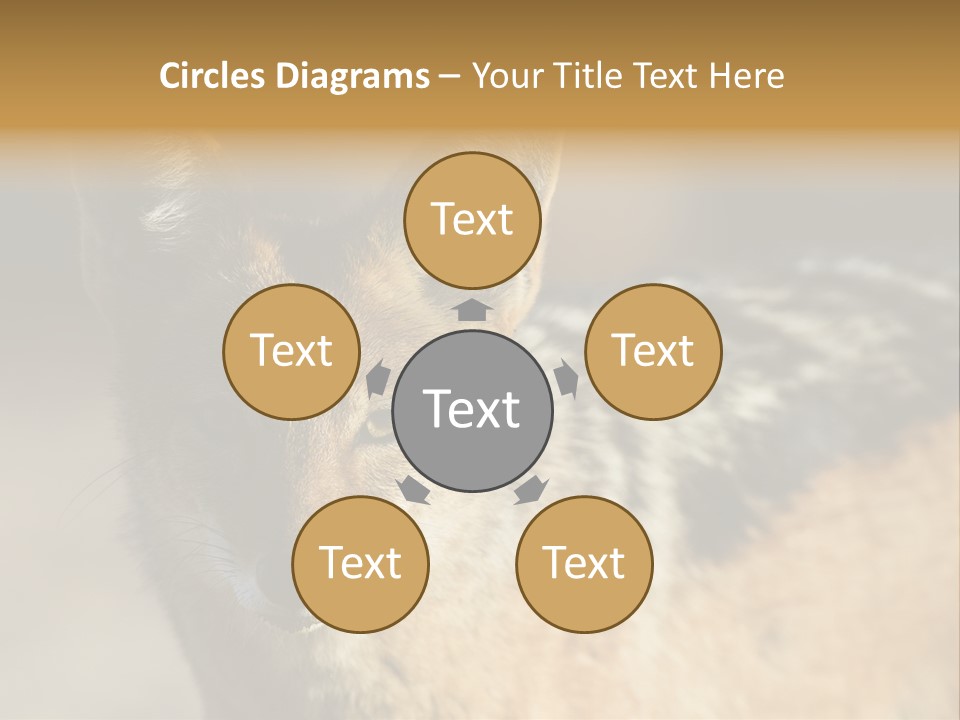 Silverbacked Canid Dog PowerPoint Template