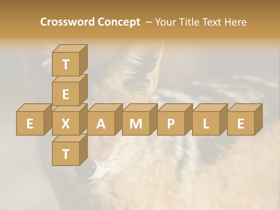 Silverbacked Canid Dog PowerPoint Template