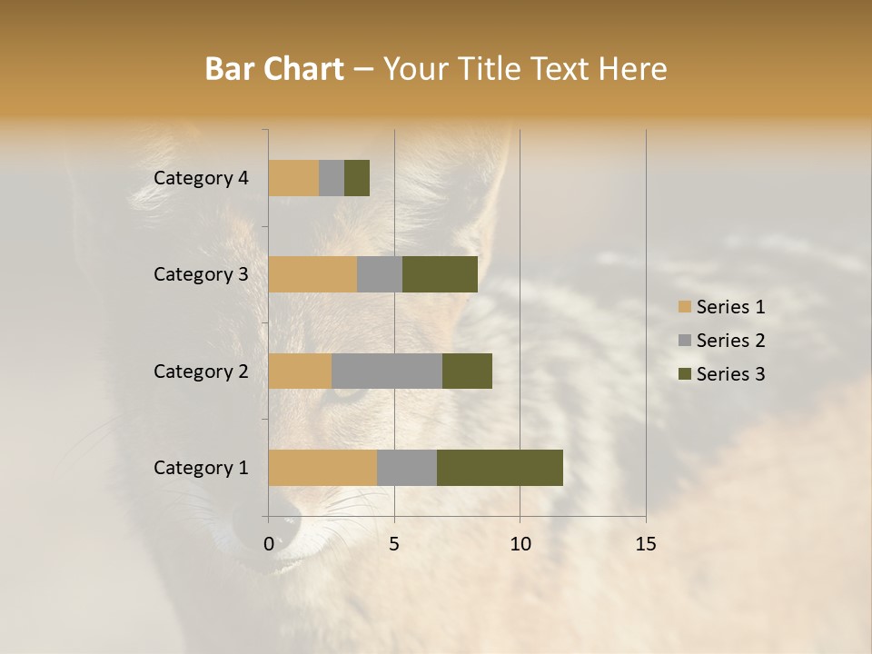 Silverbacked Canid Dog PowerPoint Template