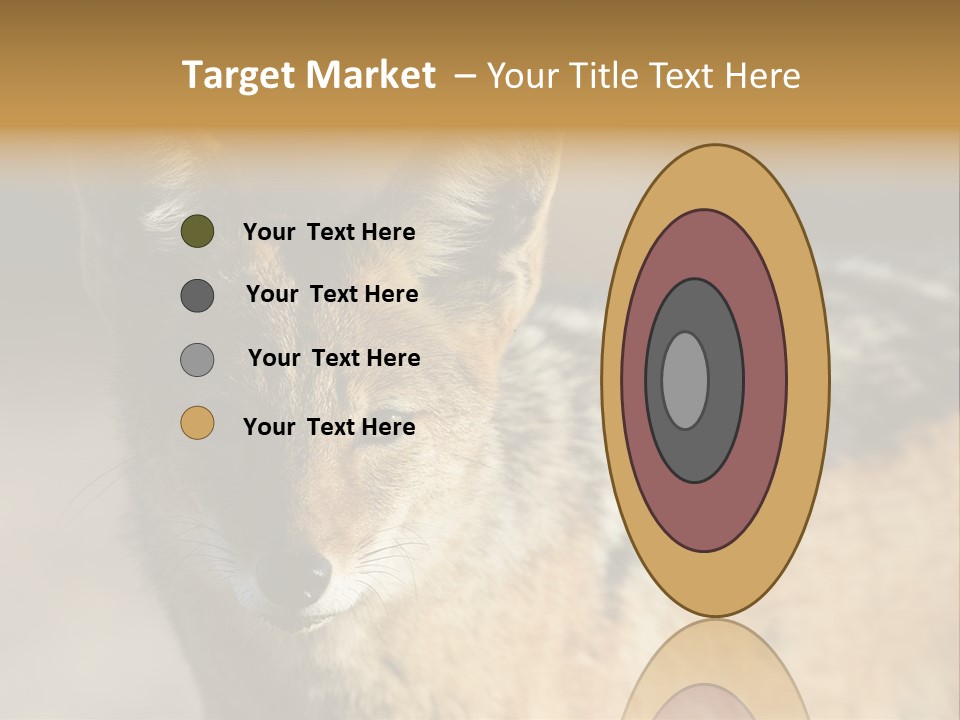 Silverbacked Canid Dog PowerPoint Template
