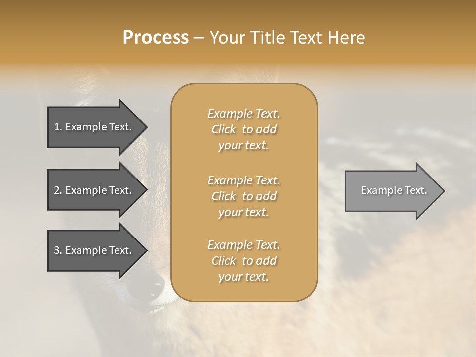 Silverbacked Canid Dog PowerPoint Template