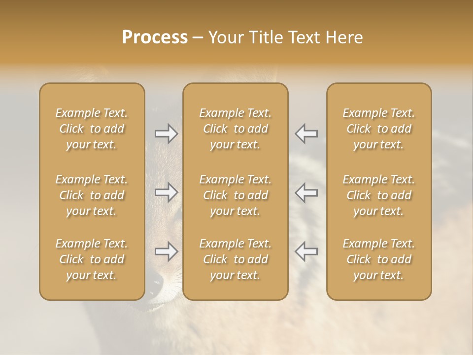 Silverbacked Canid Dog PowerPoint Template