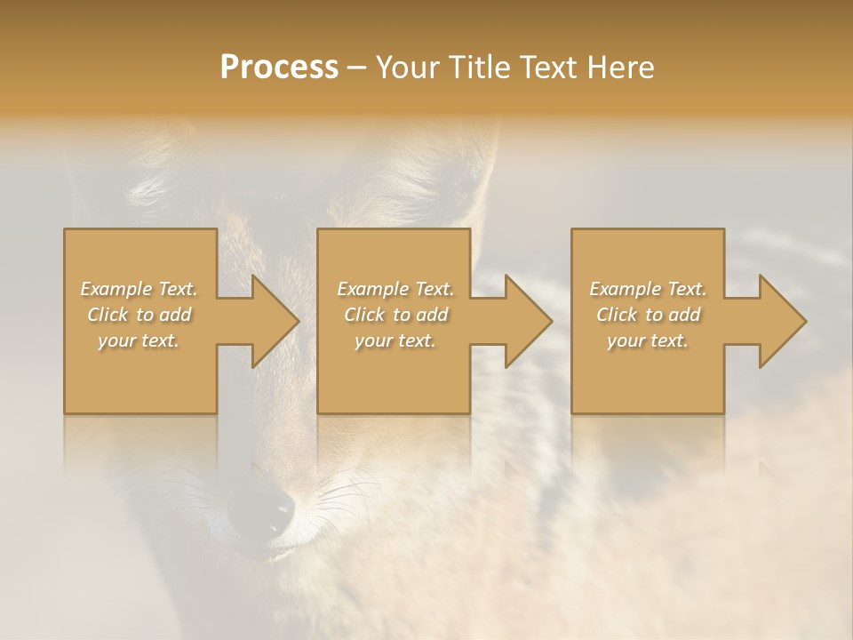 Silverbacked Canid Dog PowerPoint Template