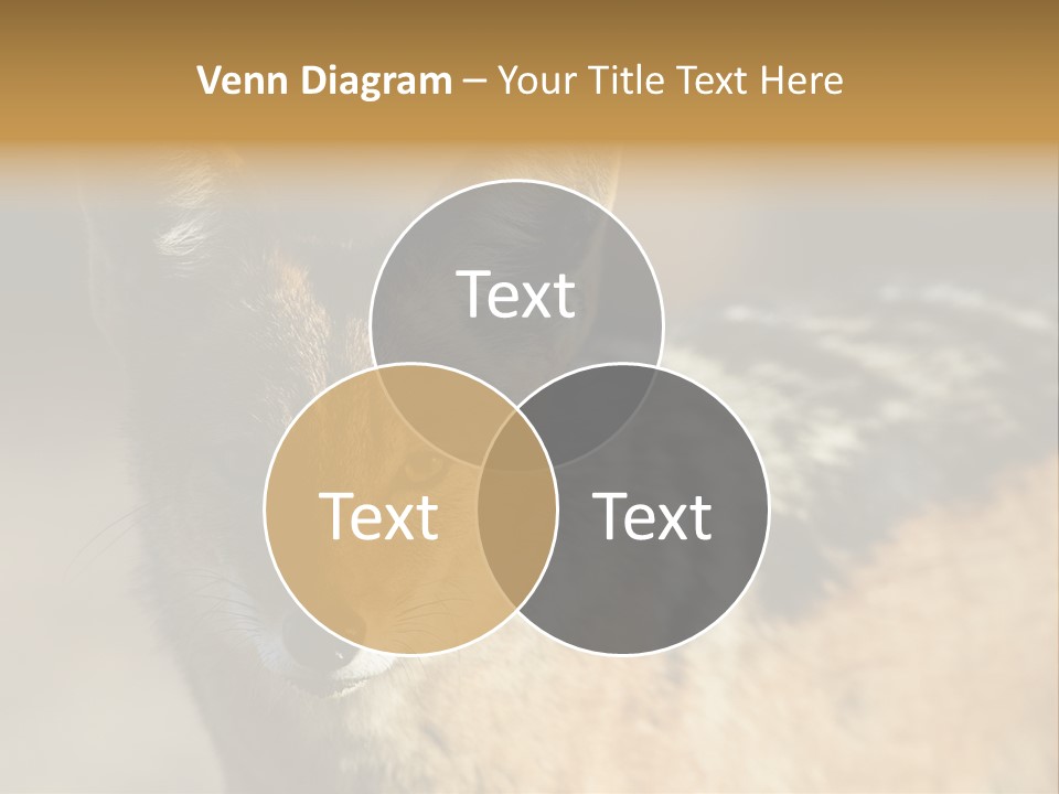 Silverbacked Canid Dog PowerPoint Template