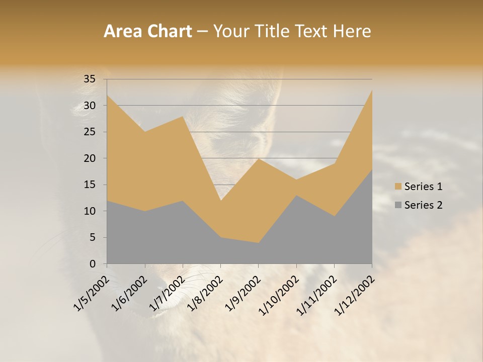 Silverbacked Canid Dog PowerPoint Template