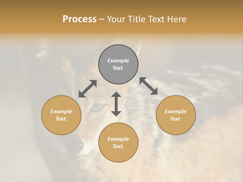 Silverbacked Canid Dog PowerPoint Template